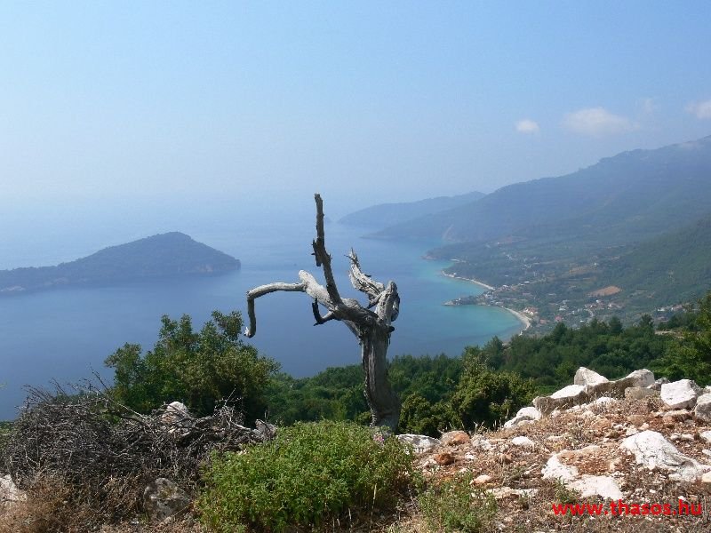 balazsh 2011